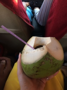 A young coconut was whacked open for me, and voila! The best coconut water I ever drank.